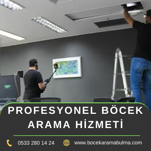 Profesyonel Böcek Arama Hizmeti